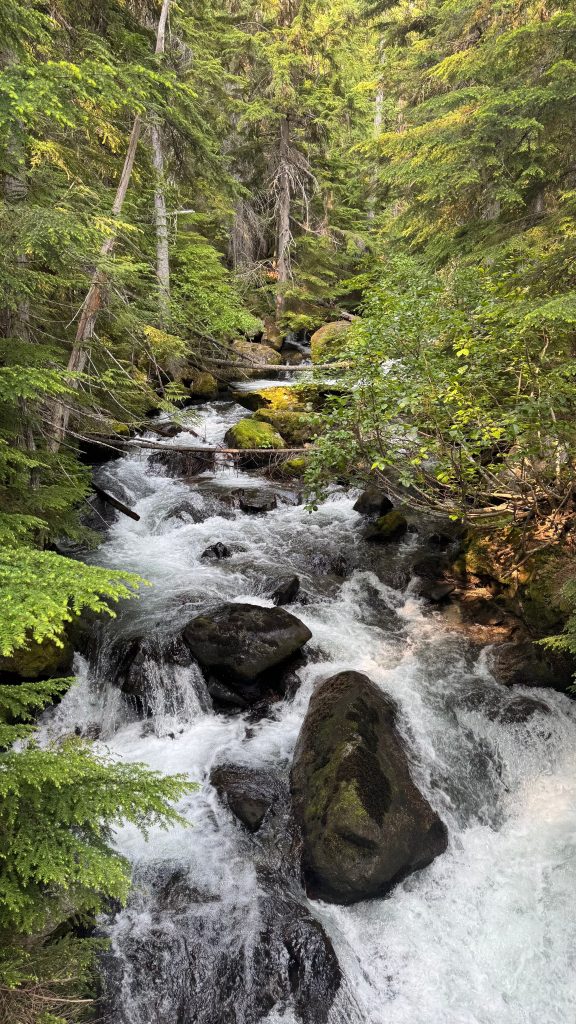 nature