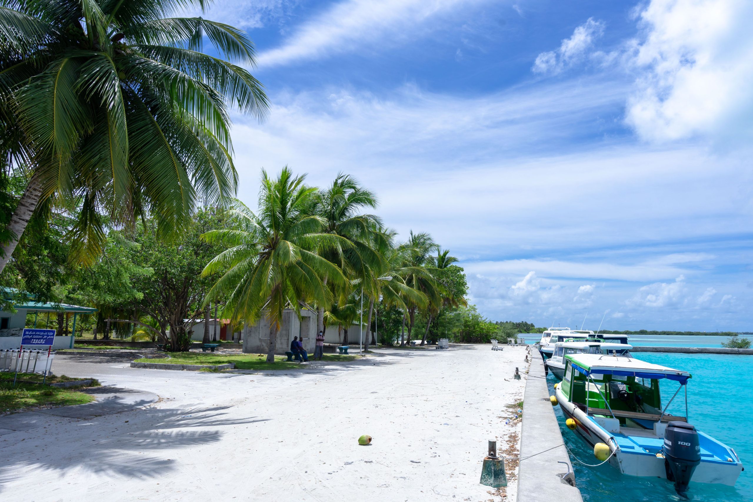 trees island