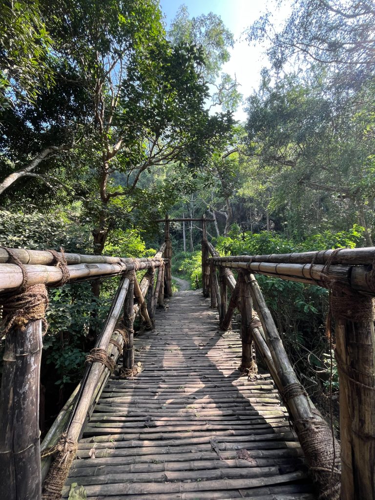 nongriat bridge